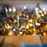 30FT 150 FUNPENY Christmas Lights, Incandescent Mini Clear String Lights, Warm White With Green Wire for Indoor Outdoor