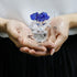 H&D HYALINE & DORA Blue Crystal Rose Flowers Figurines Ornament with Gift Box