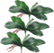 Miracliy Phalaenopsis Orchid Leaves - Fake Leaves Real Latex Touch Plants for Arrangement