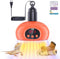 QRQ Chicken Coop Heater 200W-350W-500W Adjustment Chicken Heater with UVA UVB Ligh 3-6-9-12H