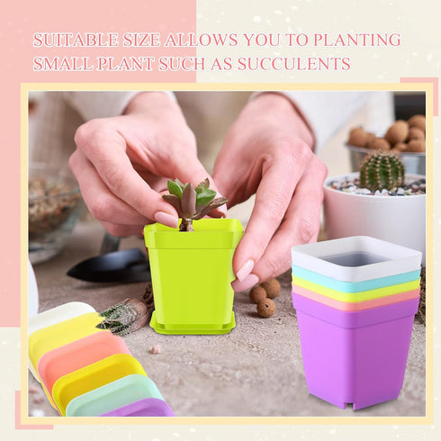 240 Pack 3 Inch Zubebe Plastic Seedling Pots Flower Pots Small Square Plastic Plant Pots Succulent Planter Nursery Pots