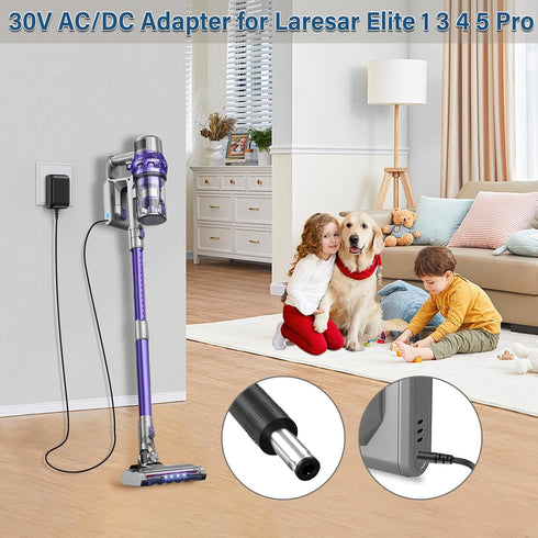 HIENADTOR 30V 25.9V 30V 5 3 4 1 5 4 3 1 Vacuum Cleaner Charger Compatible with Laresar Li-ion Battery Cordless Stick