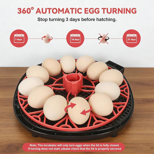 GleeGearNex 12 Gen II - Egg Automatic Incubator, Two-Stage Humidity with Auto-Refill & Stable Temp Control, Auto Egg