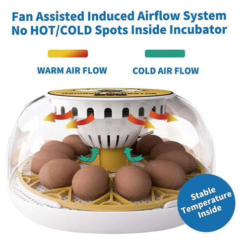 Meuiosd 12-24 Egg Incubator Eggs Automatic Intelligent Incubators for Hatching Eggswith Automatic Turner