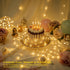 inpmrl 12 Pack 7ft 20 (12 Pack LED Fairy Lights, LED Battery Operated Silver Wire String Lights, Warm White Mini Starry