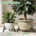 LLAXERGU 22" 30" 300LB 360 Plant Caddy with Wheels, Adjustable to Plant Stand Indoor Outdoor Heavy Duty Rolling Plant