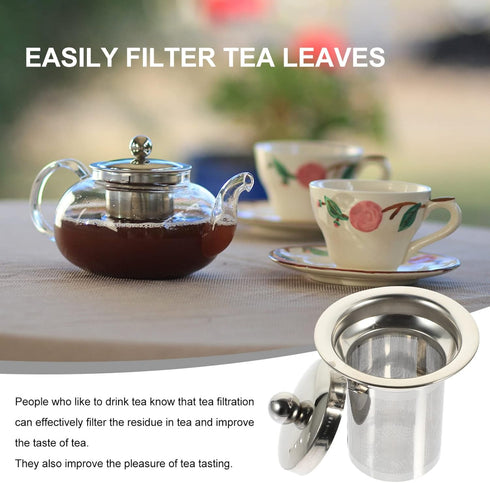 SHERCHPRY Mesh Strainer Tea Strainer, Stainless Steel Loose Tea Infusers with Lid for Glass Teapot
