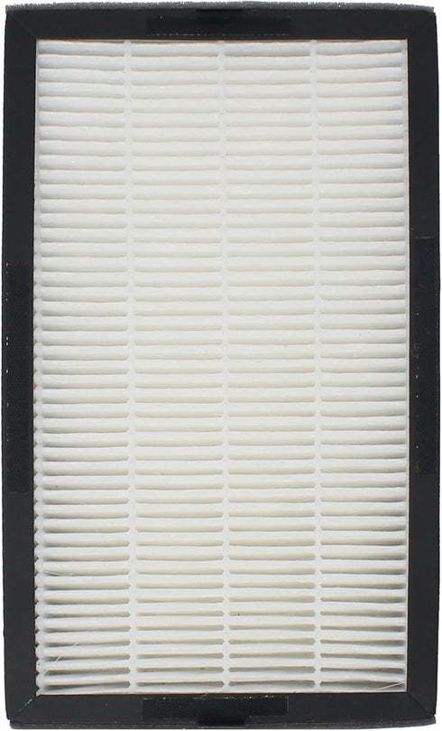 Fette Filter True HEPA Filter Compatible with GermGuardian FLT4100 Models