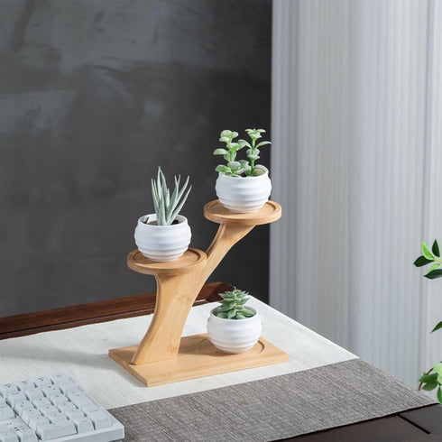 Window Sill Plant Shelf 2 Pack, Small Bamboo Desk Plant Stand, 3 Tier Succulent Plant Stand for Home Office Decoration