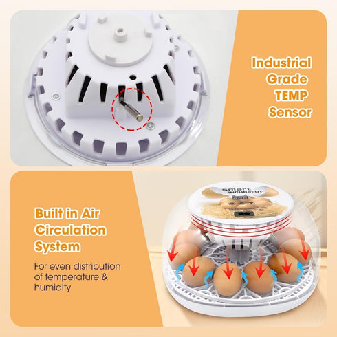 12 360 Incubators for Hatching Eggs, Chicken Waterer Cups, Automatic Egg Turner Holds Eggs, Smart Incubator Clear