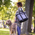Jumbo Insulated Cooler Bag (Charcoal) with HD Thermal Insulation - Premium, Collapsible Soft Cooler Makes a Perfect