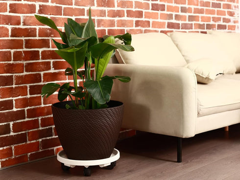 3 Packs Wheels13" Large Plant Caddy with Rolling Plant Stands Heavy-duty Plastic Plant Roller Base Pot Movers Plant
