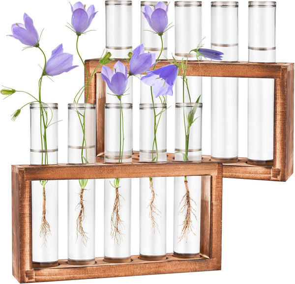 Tigvio 2pcs Desktop Glass Plant Propagation Station with 10 Test Tubes in Wooden