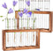 Tigvio 2pcs Desktop Glass Plant Propagation Station with 10 Test Tubes in Wooden