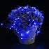 3 Pack 6.6ft 20 Fairy Lights Battery Operated Led Mini String Lights Silver Wire Starry Lights for DIY Wedding Party