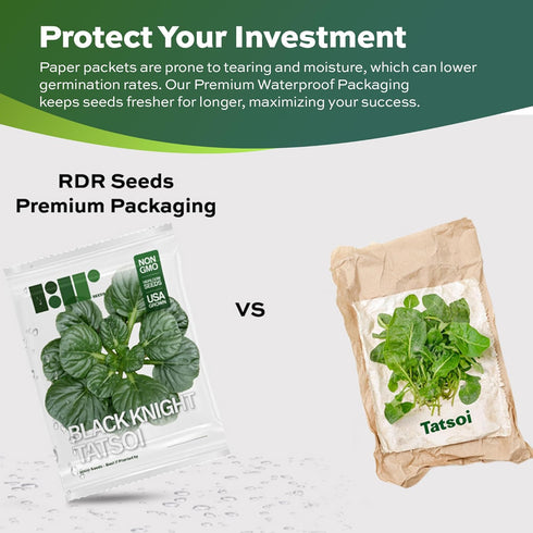 1000 Packaging Black Knight Tatsoi Mustard Seeds for Planting Heirloom, Non-GMO, USA Grown Asian Greens with Premium