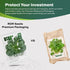 1000 Packaging Black Knight Tatsoi Mustard Seeds for Planting Heirloom, Non-GMO, USA Grown Asian Greens with Premium