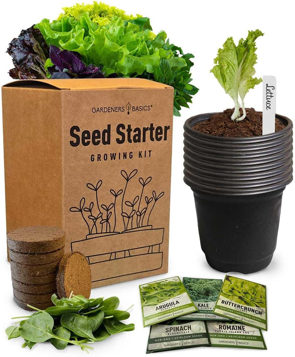 Beginner Indoor Garden Lettuce Kit - Includes Romaine, Buttercrunch Lettuces, Spinach, Arugula,