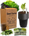Beginner Indoor Garden Lettuce Kit - Includes Romaine, Buttercrunch Lettuces, Spinach, Arugula,