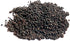 Axel's Garden Seeds 1 Packet 200 Curled Blue Kale Seeds for Planting Plant & Grow Heirloom Non-GMO Curled Blue Vates