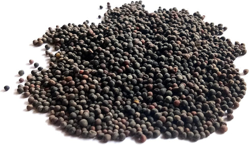 Axel's Garden Seeds 5 Packets Dwarf Siberian Kale Seeds for Planting Plant & Grow Heirloom Non-GMO Dwarf Siberian Kale