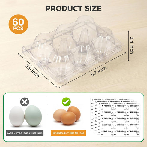 60 6 Count 60PCS HANSGO PCS Plastic Egg Cartons Bulk, with Date Labels, Clear Stackable Egg Holder for Fresh Medium