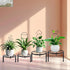 HENABLE 4 Packs 4 Trellis for Climbing Plants Indoor, Small Garden Metal Trellis for Potted Plants Outdoor for Vine Ivy