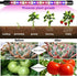 2PCS 3 120 3 6/12/16H 5 Dimmable Garpsen Led Grow Light, Heads Full Spectrum Clip Plant Light for Indoor Plants, LEDs