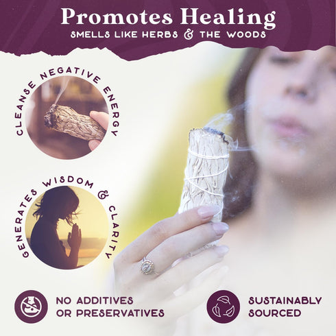 White Sage Bundles - 6 Pack Smudge Stick for Home Cleansing and Meditation, 4 inch