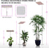 18W Plants,12-59 Inches 4H/8H/12H, 4 Dimmable BESTVA Grow Lights for Indoor Plants with Stand, Full Spectrum LED Plant