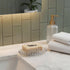 2 Counter, 4.5 3 0.7 Inches Pcs Plastic Soap Holder Soap Dish Bar Saver Tray with Holes Sponge Holder for Kitchen