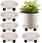 5 Packs Large Plant Caddy with Wheels 13" Rolling Wheeled Plant Stands