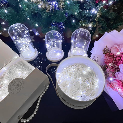 Etinga 20 Pack 10 3.3ft (20 Pack, Fairy Lights Battery Operated String Lights, LED on Silvery Copper Wirefor Flowers