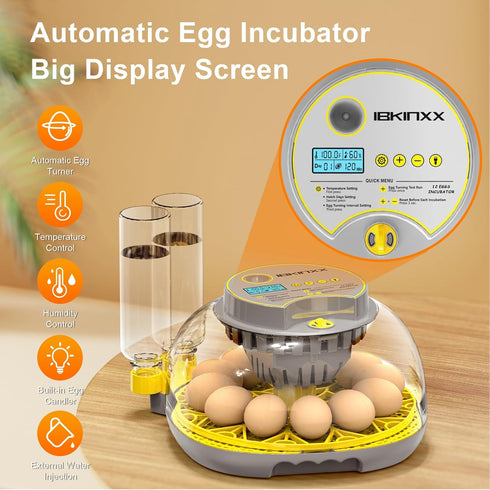 Eggs-12 2026 360 Incubator for Hatching Egg Capacity, Newly Upgraded Automatic Egg Turner, Temperature & Humidity