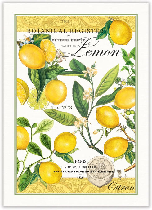 Michel Design Works Kitchen Dish Towel, Lemon Basil