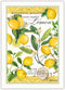 Michel Design Works Kitchen Dish Towel, Lemon Basil