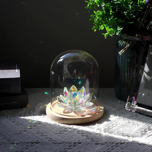 JUXYES Clear Glass Display Dome Cloche with Solid Wood Base, Transparent Dome Cloche Bell Terrarium Jar Glass Dustproof