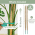 2 Pack 63'' Bendable Moss Pole Monstera Plant Support for Large Climbing Indoor Plants - Stakes for Potted Climbers