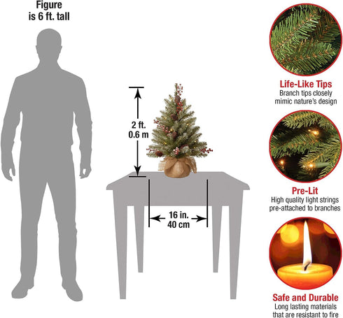 National Tree Company Pre-Lit Artificial Mini Christmas Tree, Green Dunhill Fir, White Lights, 2 Feet