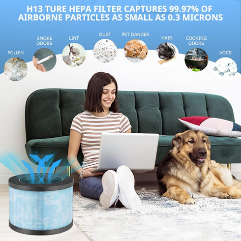 MK01 MK06 DH-JH01 H13 True HEPA Replacement Filter, Compatible with Multiple Models, 2 Pack