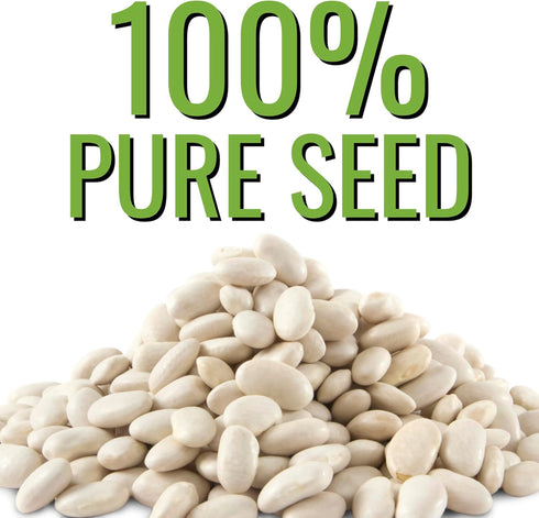 Seed Needs Lima Bean Seeds for Planting Henderson Lima Beans - Non-GMO Heirloom & Untreated Vegetable Seed to Plant a