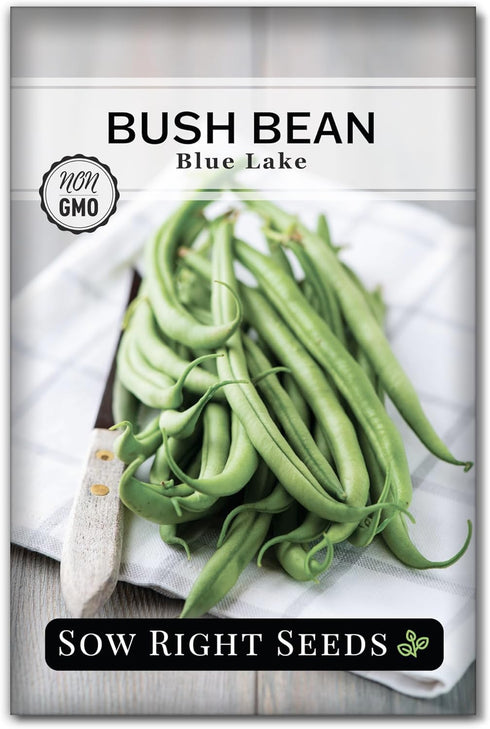 Sow Right Seeds - Blue Lake Bush Bean Seeds for Planting -
