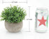 Velener Mini Sage Green Potted Boxwood Topiary, Artificial Plants for Home Decor, Indoor, Small Fake Plant