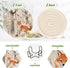 SDMKA 6 3.9 Inch Cute Forest Fox Pcs Cotton Woven Coasters with Holder - Absorbent Drink Coasters - Ideal for Coffee