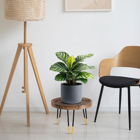 Plant Stand Indoor Outdoor, Mid Century Style Walnut Wood Color Plant Stand,Waterproof Design Modern Plant Table,Easily