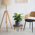 Plant Stand Indoor Outdoor, Mid Century Style Walnut Wood Color Plant Stand,Waterproof Design Modern Plant Table,Easily