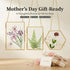 Relaxing Garden Pressed Flower Craft Kit for Adults & Women, DIY Floating Double Glass Frame Kit with Real Dried