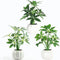 ChopiLine Artificial Plants Stems with Vase, 3 Pack Fake Plants for Home Decor,