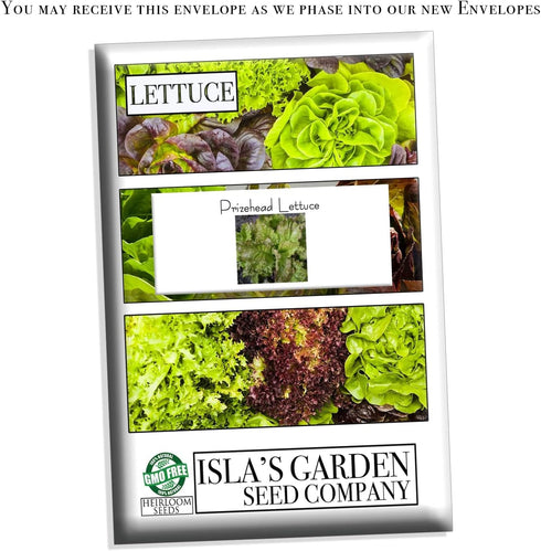 1000+ Packet, 85% Prizehead Lettuce Seeds for Planting, Heirloom Seeds Per (Isla's Garden Seeds), Non GMO Seeds