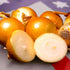 TomorrowSeeds - Texas 1015Y SuperSweet Onion Seeds - 200+ Count - for